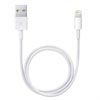 Apple Lightning / USB kábel ME291ZM/A - Fehér - 0,5 m