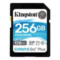 Kingston Canvas Go! Plus microSDXC Memory Card SDG3/512GB