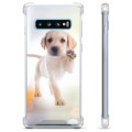 Samsung Galaxy S10 hibrid tok - kutya