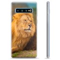 Samsung Galaxy S10+ TPU tok – oroszlán