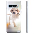 Samsung Galaxy S10+ TPU tok - kutya